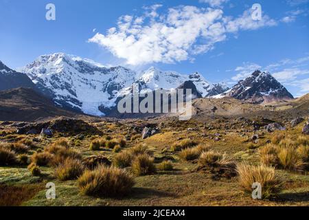 Ausangate Trek Trekking Trail, Ausangate Circuit, Cordillera Vilcanota, Cuzco Region, Peru, peruanische Andenlandschaft, Südamerika Stockfoto