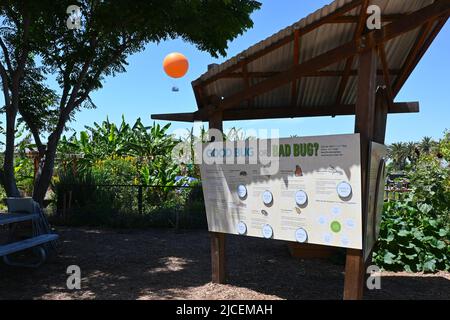 IRVINE, KALIFORNIEN - 1. JUNI 2022: Guter Bug, schlechter Bug Bildungsstand im Food and Farm Lab im Orange County Great Park, mit Tethered Balloon befreit Stockfoto