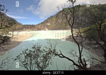 Krater-See des Mount Patuha, der im Volksmund als Kawah Putih (weißer Krater) in Ciwidey, Bandung, West Java, Indonesien bekannt ist. Stockfoto