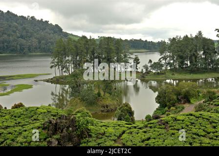 Landschaft des Situ Patenggang Sees im Vordergrund der Teeplantage in Rancabali bei Ciwidey in Bandung, West Java, Indonesien. Stockfoto