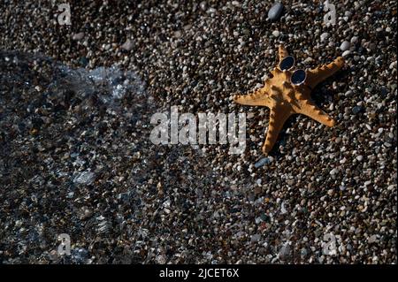 Seesterne in Sonnenbrillen an einem Kieselstrand. Ruhe am Meer. Stockfoto