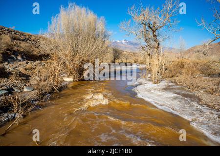 Bäume und Fluss mit Schnee im frühen Frühjahr im farbenfrohen Mars-Tal im Altai-Gebirge, Russland Stockfoto