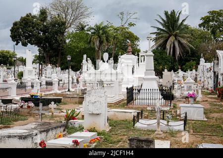 Friedhof mit weißen Grabsteinen und Statuen, Bäume im Hintergrund bei Santa Cruz de Mompox Stockfoto