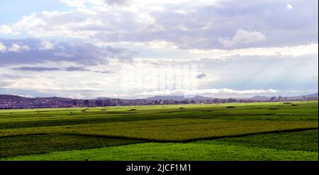 Landwirtschaftliche Landschaften rund um den Ambohimanga Hügel am Stadtrand von Antananarivo, Magagascar. Stockfoto