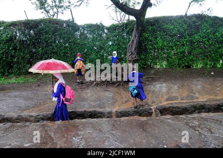 Tansanischen Kinder wandern in den starken Regen. Stockfoto