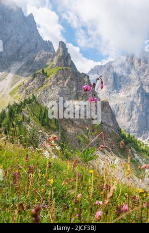Wunderschöne Seerose in einer wunderschönen alpenlandschaft Stockfoto