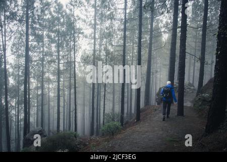 Zurück von Wanderer, der an einem trüben Tag im Naturpark Roque Nublo den Weg in den Wald hinunter geht. Abenteuer-Entdecker auf geheimnisvolle Umgebung. Mystische Atmosphäre Stockfoto