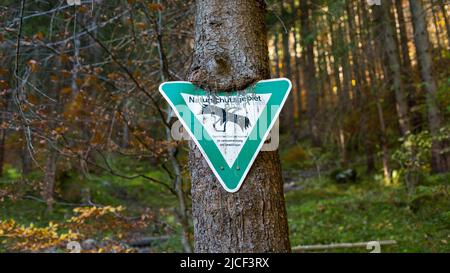 Oberammergau, Deutschland - 31. Oktober 2021: Schild Naturschutzgebiet. Verschmolzen mit der Rinde eines Baumes. Hinweis auf ein Naturschutzgebiet. Stockfoto