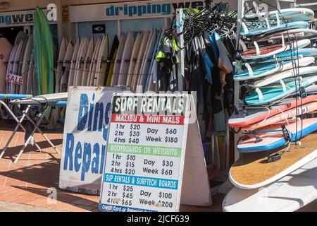 Surf-Shop in Manly Beach Sydney, Verleih von Surfbrettern und Neoprenanzügen, Sydney, NSW, Australien Stockfoto