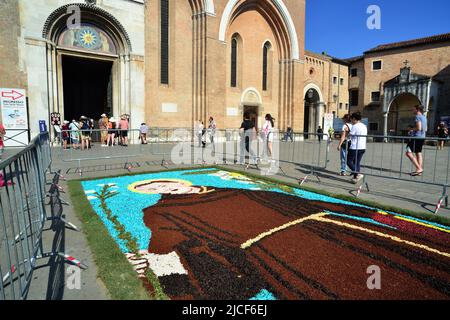 Padua, 13. Juni 2022. St. nthony Fest. Blumenteppich, der den heiligen Antonius darstellt. Der Blumenteppich wurde von den Künstlern der toskanischen Stadt Fucecchio auf dem Kirchhof der Basilika hergestellt Stockfoto