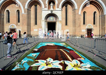 Padua, 13. Juni 2022. St. Anthony Feast. Blumenteppich, der den heiligen Antonius darstellt. Der Blumenteppich wurde von den Künstlern der toskanischen Stadt Fucecchio auf dem Kirchhof der Basilika hergestellt Stockfoto