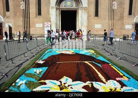 Padua, 13. Juni 2022. St. Anthony Feast. Blumenteppich, der den heiligen Antonius darstellt. Der Blumenteppich wurde von den Künstlern der toskanischen Stadt Fucecchio auf dem Kirchhof der Basilika hergestellt Stockfoto