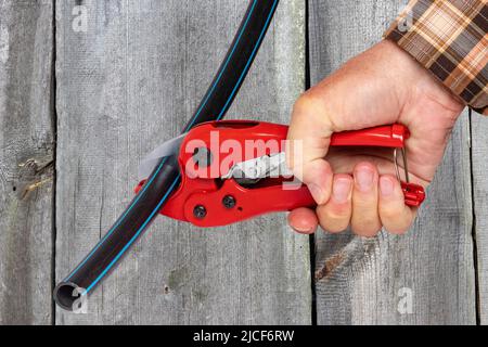 Handwerkswerkzeuge. Ein Mann schneidet ein Stück PE-Druckrohr oder Wasserrohr mit einem roten pvc-Rohrschneider über Holzhintergrund genau. Beschneidungspfad. Trinken Stockfoto
