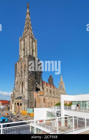 Münster am Münsterplatz, Ulm, Baden-Württemberg, Oberschwaben, Deutschland Stockfoto