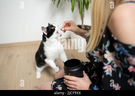 Weibliche Tierbesitzerin füttert hungrige schwarz-weiße Smoking Katze mit Snacks halten Treat Glas in der anderen Hand Stockfoto