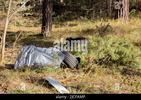 Illegale Abfälle im Wald deponiert in Deutschland liegen alte Autoreifen im Wald Stockfoto