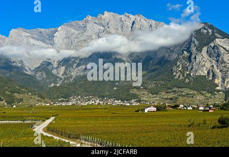 Weinberge in Chamoson Weinanbaugebiet vor den Felswänden des Haut de Cry Peak, Chamoson, Wallis, Schweiz Stockfoto
