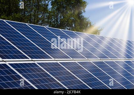 Sonnenkollektoren sorgen für Stromerzeuger aus der Sonne als erneuerbare Energiequelle Stockfoto