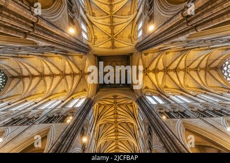 England, London, Westminster Abbey, Die Gewölbte Decke Stockfoto