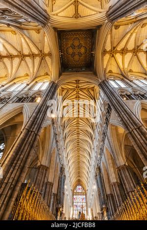 England, London, Westminster Abbey, Die Gewölbte Decke Stockfoto