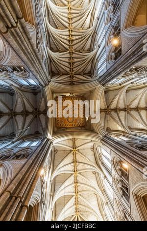 England, London, Westminster Abbey, Die Gewölbte Decke Stockfoto