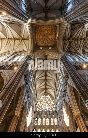 England, London, Westminster Abbey, Die Gewölbte Decke Stockfoto