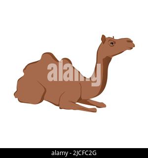 Editierbare Vektordarstellung des Kamels. EPS10 Stock Vektor