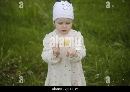 Schönes Kind mit den Blumen des Dandelions im Sommer im Park. Glückliches Kind, das Spaß im Freien hat. Stockfoto