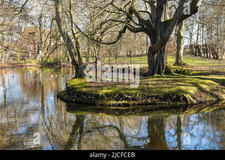 Schleswig-Holstein, Küste bei Maasholm, Schloss Oehe, Park und Teich Stockfoto