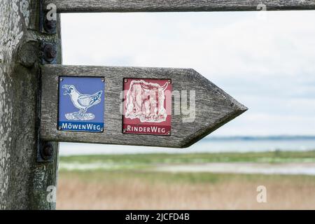 Deutschland, Schleswig-Holstein, Naturschutzgebiet Geltinger Birk, Wanderweg, Wegweiser Stockfoto