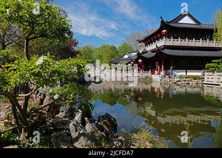 Chinesisches Teehaus, Luisenpark, Mannheim, Baden-Württemberg, Deutschland Stockfoto
