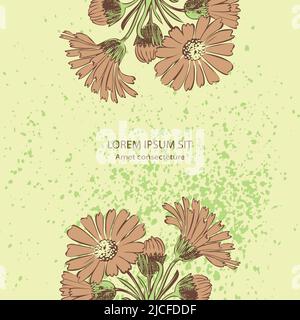 Attraktiv arrangierte Blumenstrauß. Gezeichnete Chrysanthemum Blumen künstlerische Vektor-Illustration. Blumen botanische Hochzeit Ornament trendige Muster des Stock Vektor