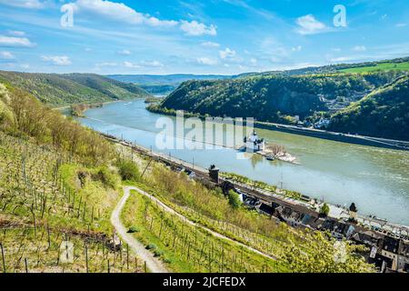 Panoramablick über das Rheintal bei Kaub (Mittelrhein) entlang des Rheinsteig-Wanderweges, mitten im Fluss die ehemalige Zollburg Pfalzgrafenstein Stockfoto