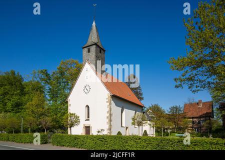 Deutschland, Senden (Westfalen), Münsterland, Westfalen, Nordrhein-Westfalen, NRW, Senden-Venne, Kirche St. Johannes der Täufer, katholische Pfarrkirche Stockfoto