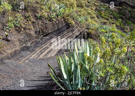 Vulkanische Landschaft des Krater Caldera de Bandama mit kreisförmigem Wanderweg. Gran Canaria, Spanien in Europa Stockfoto