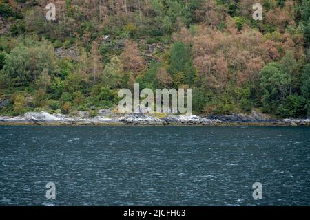 Norwegen, Møre Og Romsdal, alte verfallende Hütte im Sunnylvsfjord. Stockfoto