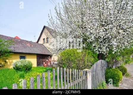 Frühling im Garten, Hausfassade, Frühling, Unfinden, Königsberg, Franken, Bayern, Deutschland, Europa, Stockfoto