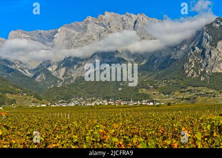 Das Weindorf Chamoson, umgeben von Weinbergen, vor den Felswänden des Berges Haut de Cry, Chamoson, Wallis, Schweiz Stockfoto