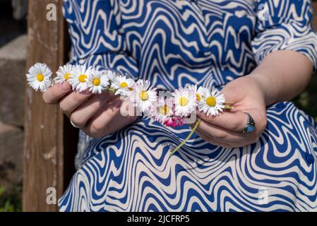 Eine junge Frau webt einen Blumenkranz aus Gänseblümchen. Stockfoto