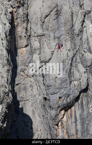 Bergsteiger in einer Felswand im Nationalpark Paklenica im Velebit-Bergmassiv, Talstadt Starigrad-Paklenica, Gespanschaft Zadar, Dalmatien, Kroatien, Europa Stockfoto