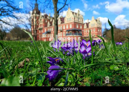 Neues Schloss Bad Muskau Stockfoto