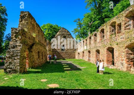 Ruinen des Klosters Nimbschen: Es war eine ehemalige Zisterzienserabtei, unmittelbar südlich von Grimma in Sachsen an der Mulde (1243–1536 / 42). Stockfoto