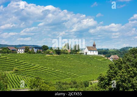 Schweiz, Rheinbogen, Zürcher Weinland, Rheinauer Kapelle Stockfoto