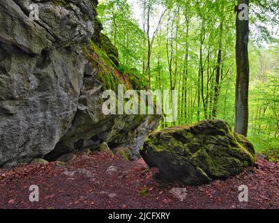 Europa, Deutschland, Hessen, Mittelhessen, Westerwald, Hessischer Westerwald, Region Lahn-Dill, Geopark Westerwald-Lahn-Taunus, Karsthöhle 'große Steinkammer' bei Breitscheid auf dem Westerwaldsteig Stockfoto