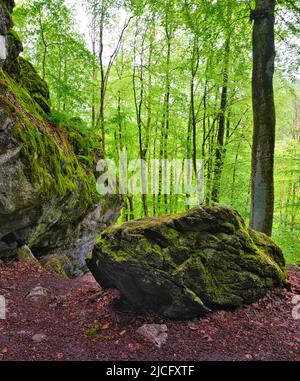 Europa, Deutschland, Hessen, Mittelhessen, Westerwald, Hessischer Westerwald, Region Lahn-Dill, Geopark Westerwald-Lahn-Taunus, Karsthöhle 'große Steinkammer' bei Breitscheid auf dem Westerwaldsteig Stockfoto