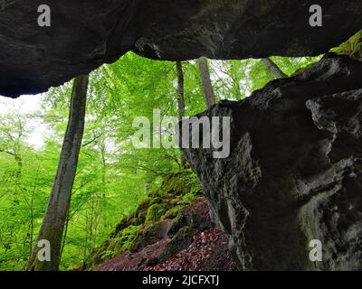 Europa, Deutschland, Hessen, Mittelhessen, Westerwald, Hessischer Westerwald, Region Lahn-Dill, Geopark Westerwald-Lahn-Taunus, Karsthöhle 'große Steinkammer' bei Breitscheid auf dem Westerwaldsteig Stockfoto