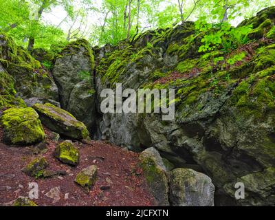 Europa, Deutschland, Hessen, Mittelhessen, Westerwald, Hessischer Westerwald, Region Lahn-Dill, Geopark Westerwald-Lahn-Taunus, Karsthöhle 'große Steinkammer' bei Breitscheid auf dem Westerwaldsteig Stockfoto