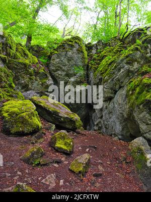 Europa, Deutschland, Hessen, Mittelhessen, Westerwald, Hessischer Westerwald, Region Lahn-Dill, Geopark Westerwald-Lahn-Taunus, Karsthöhle 'große Steinkammer' bei Breitscheid auf dem Westerwaldsteig Stockfoto