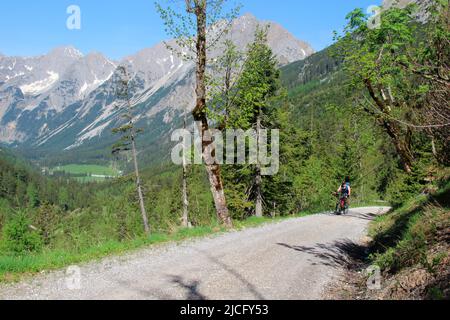 Mountainbiker, Mountainbiker, E-Biker auf dem Weg nach Karwendelhaus, Scharnitz, Tirol, Österreich Stockfoto