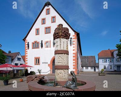 Märchenbrunnen, Prinzessin, Frosch, Wasser spüßender Drache, Spalte, Reliefs, Fischer und seine Früchte, Rathaus, Steinau an der Straße, Main-Kinzig-Kreis, Hessen, Deutschland Stockfoto